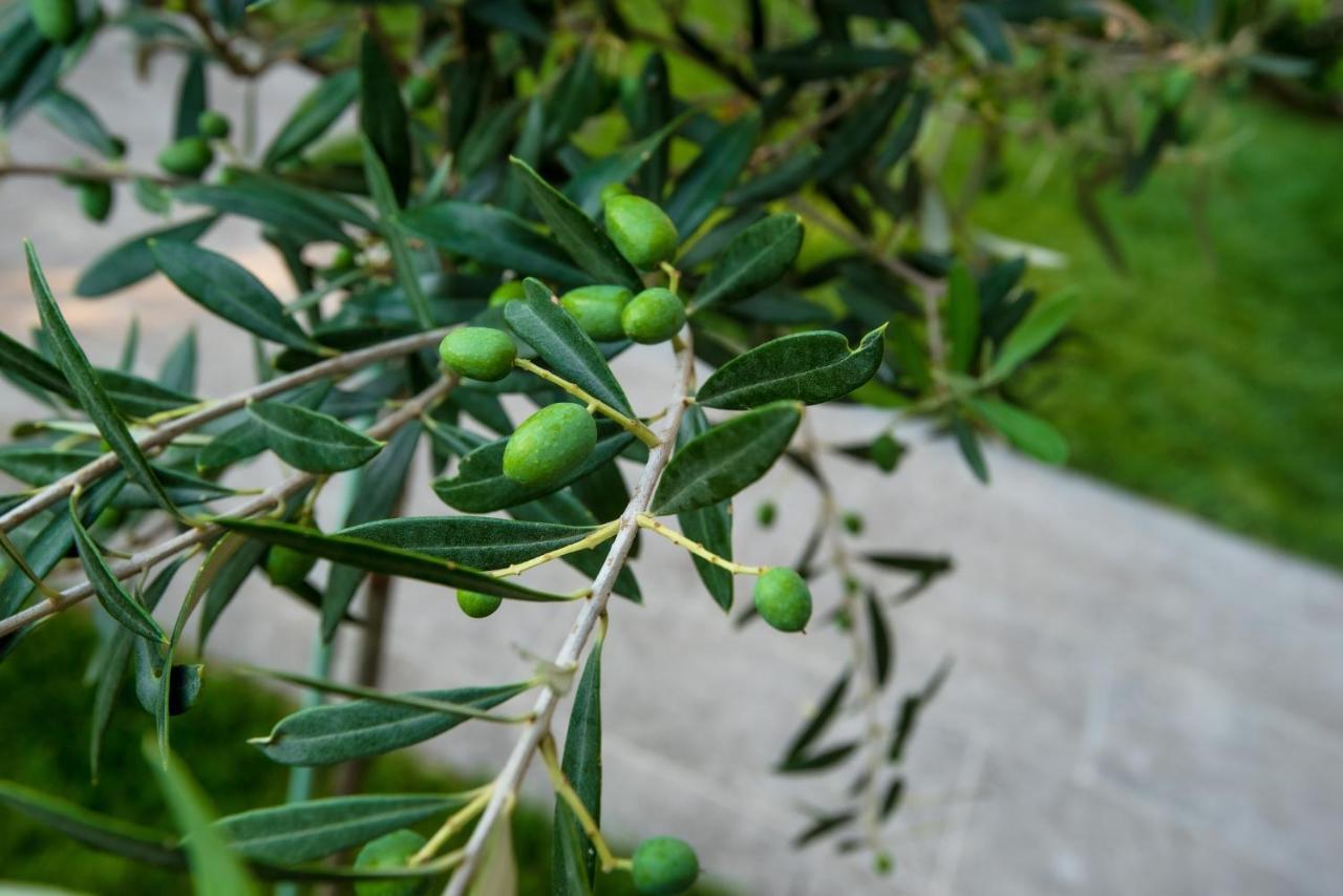 Olive 301 Apartment Peraia  Luaran gambar